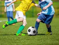 中国财政部,海外发行绿,色主权债,太阳城,太阳城平台,太阳城官网