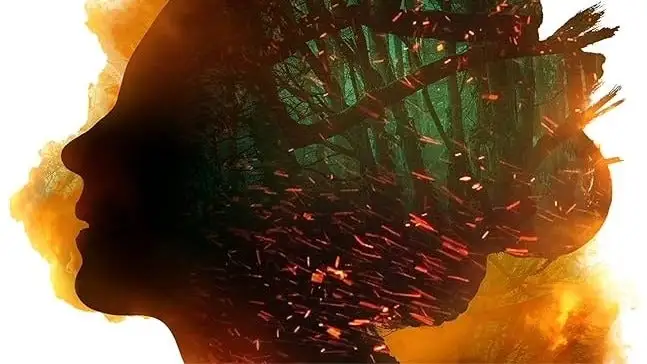 萨内在加入,球队后为法,兰克福,太阳城,太阳城平台,太阳城官网