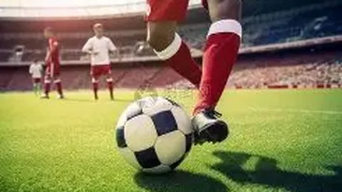 卢卡库：挑战不断，决赛悬念犹存