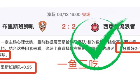 大乐透期号专家质合分析：萨索洛VS科莫推荐